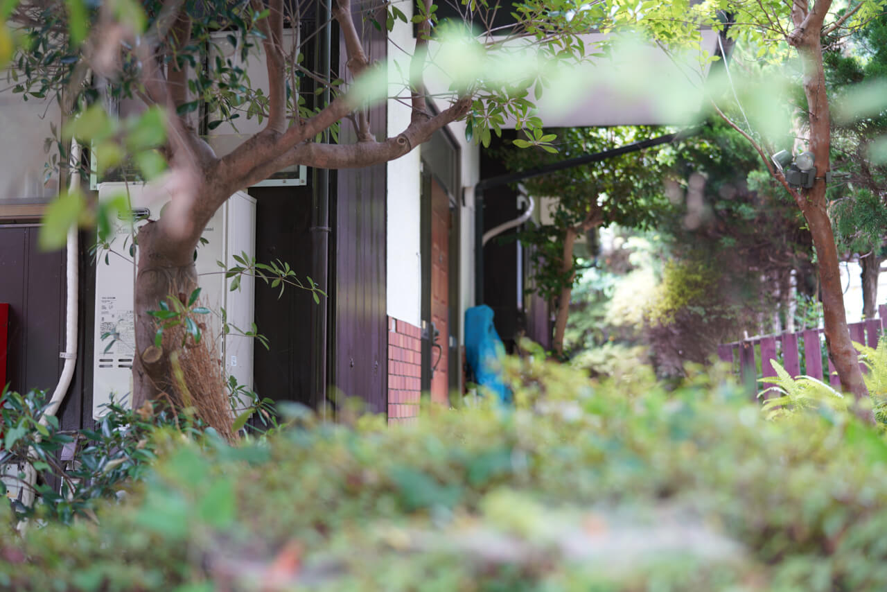 からだ元気治療院 Hav（ハーブ）店